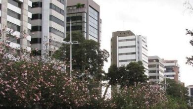 Hombre apareció colgado de un árbol en el parque La Carolina