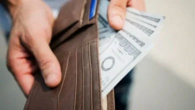 Ley de Integridad Pública: SRI perdonará intereses a empresas