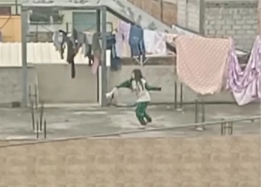 Video: Niña que golpea a gato en Ecuador es captada en cámara