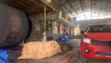 Denuncian malos olores por fábricas de cuero en Ambato