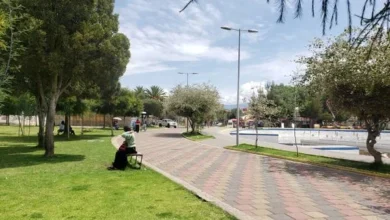 Hombre busca a jóvenes que apuñalaron a un 'Lobo'