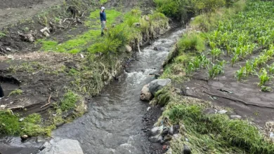 Unidad Educativa San Ignacio organiza carrera Runforfunkm. La prueba permite conectar con la naturaleza