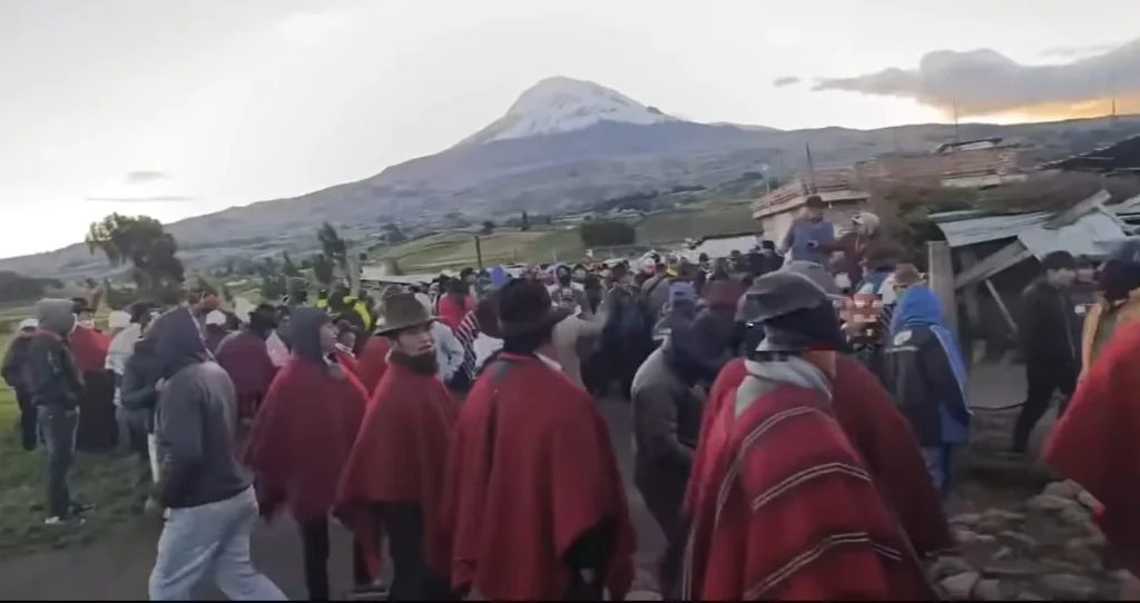 Vacas robadas en Guamote asomaron en Guano