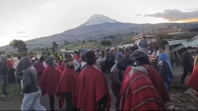 Vacas robadas en Guamote asomaron en Guano