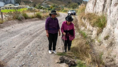 5 animales envenenados afuera de granja avícola en Latacunga