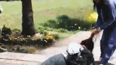 Estudiante golpeó a su compañera en el parque Itchimbía en Quito