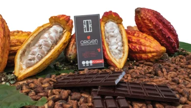 Chocolate Origen: sabor de Cotopaxi con proyección internacional