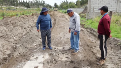 Pangua: 60% red vial necesita mantenimiento por época invernal