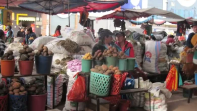 Sube el plátano maduro en los mercados de Riobamba