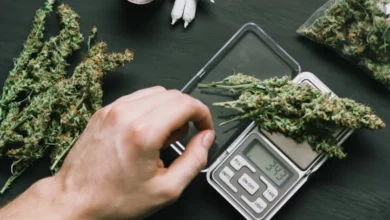 Tabla de consumo de drogas con nueva Ley ¿Qué cambió?