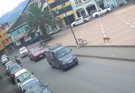 Conductor de moto y su acompañante se salva de ser aplastado