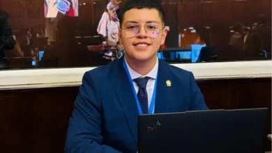 Asambleísta Dominique Serrano vuelve tras suspensión por dibujar