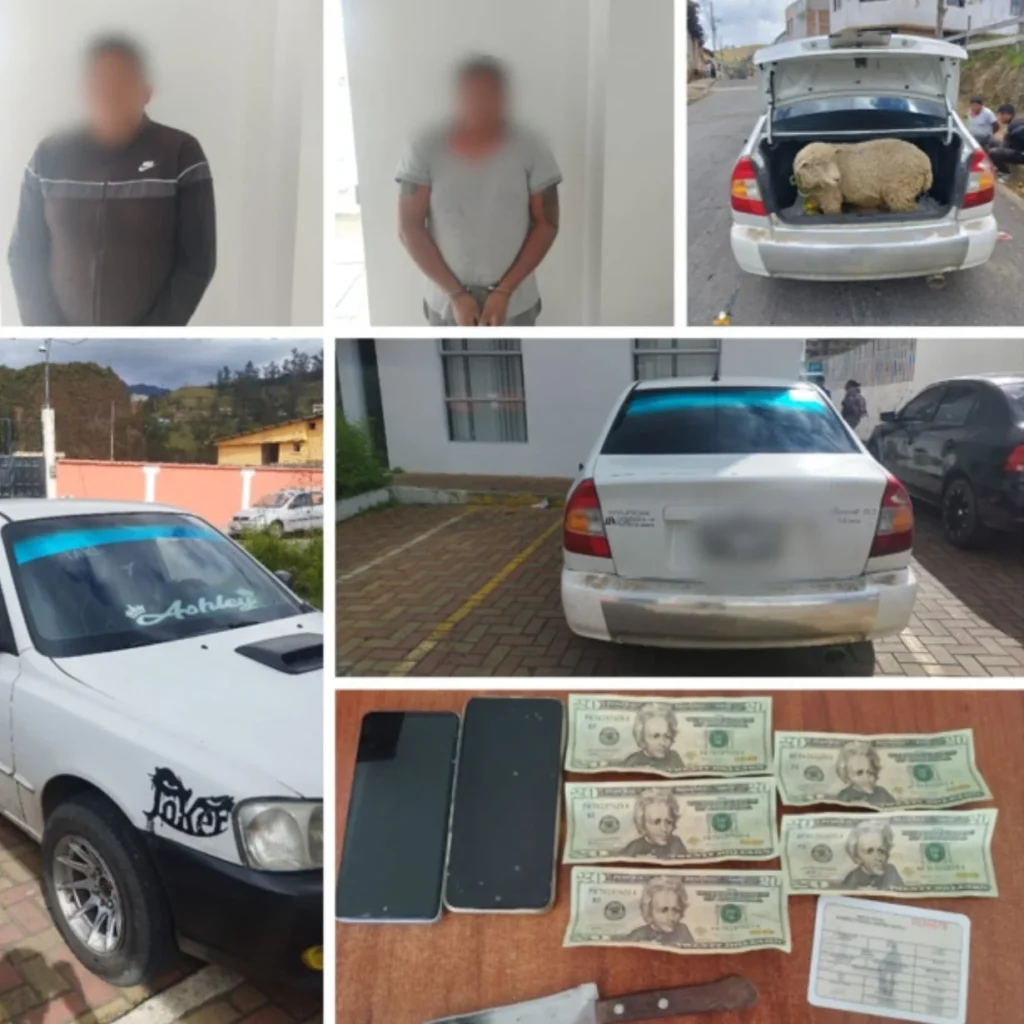 Dos hombres detenidos por robo de ganado en Guaranda.