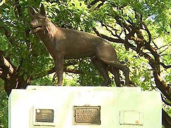 Estatua de Chonino, perro policía.
