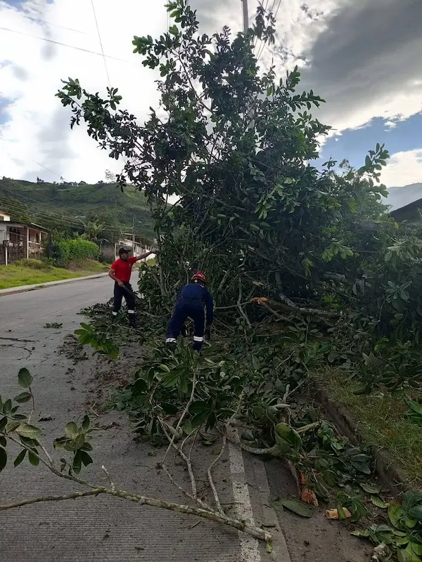 Fuertes vientos en Pallatanga arrancan árboles y techos de casas