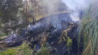 Bomberos apagaron incendio forestal en Guano
