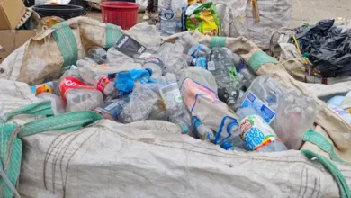 Gana dinero fácil desde tu casa en Riobamba