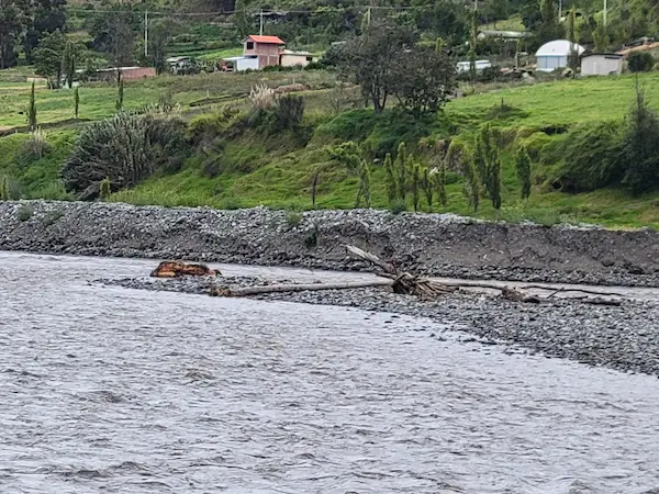 Acción de 2 compañías no solo atenta contra margen izquierdo de un río, sino el esfuerzo de una vida