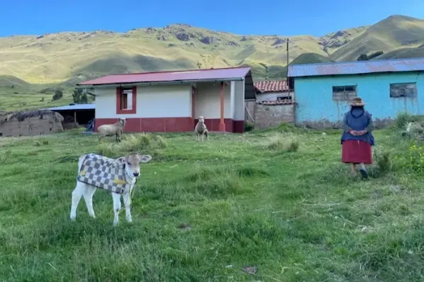 Miduvi: Pasos para legalizar títulos de propiedad en zonas rurales