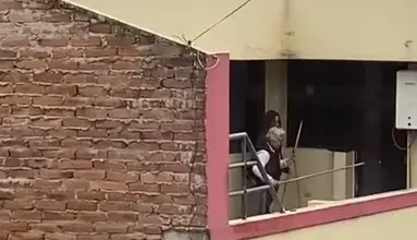 Perros abandonados serían maltratados en una terraza