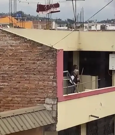 Perros abandonados serían maltratados en una terraza