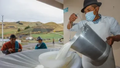 Productores de leche pueden vender sin intermediarios en Ecuador