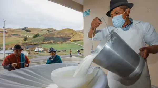 Productores de leche pueden vender sin intermediarios en Ecuador