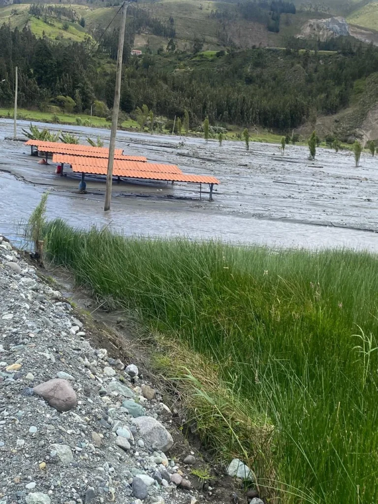 Desaparecieron las 3 piscinas con 5.000 truchas
