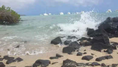 Tsunami amenaza Ecuador: Gobierno ordena evacuaciones y suspensión de clases