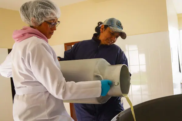 Operativos en centros de acopio de leche cruda en Ecuador