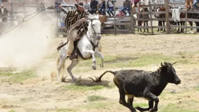 Rodeo Provincial en Chimborazo: tradición y festividades