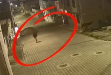 Incendio provocado pone en riesgo la vida de una familia en Riobamba