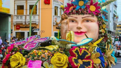 Fiesta de la Fruta y de las Flores 2026: concurso para carros alegóricos
