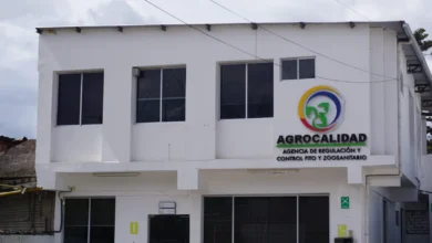 Brote de Influenza Equina en Chimborazo y Pichincha