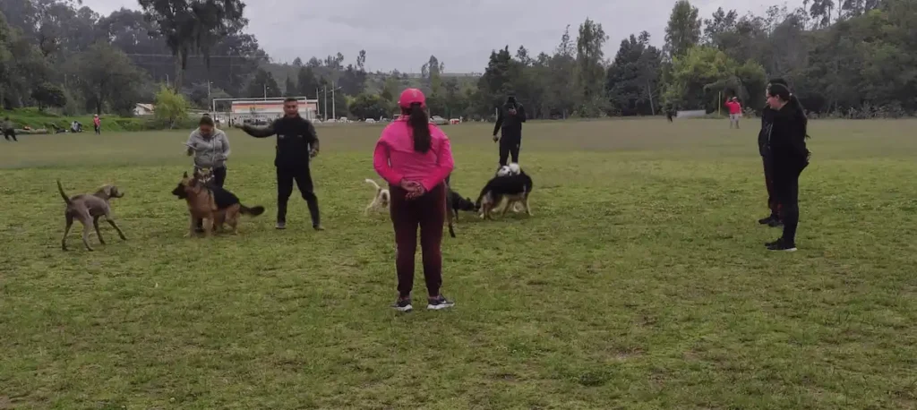 Curso de adiestramiento canino gratuito en Riobamba 2025