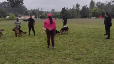 Curso de adiestramiento canino gratuito en Riobamba 2025