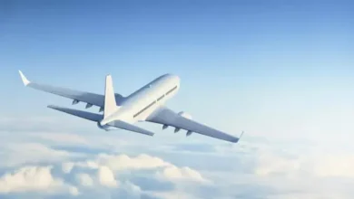 Escándalo en avión: pareja detenida por sexo en el baño