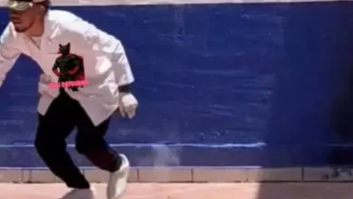 Estudiantes asesinan a un gato con pirotecnia: ¿por qué lo hicieron?