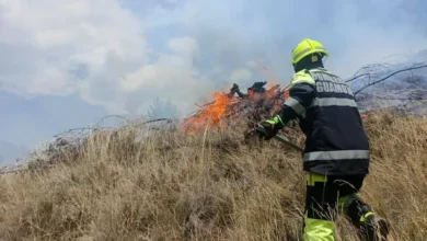 1 incendio forestal movilizó a Bomberos de Guamote