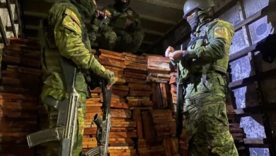 Militares decomisan 900 piezas de madera y camión en Baños.