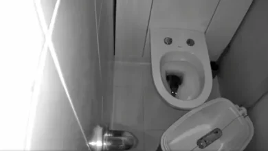 Rata invade el baño de un hombre