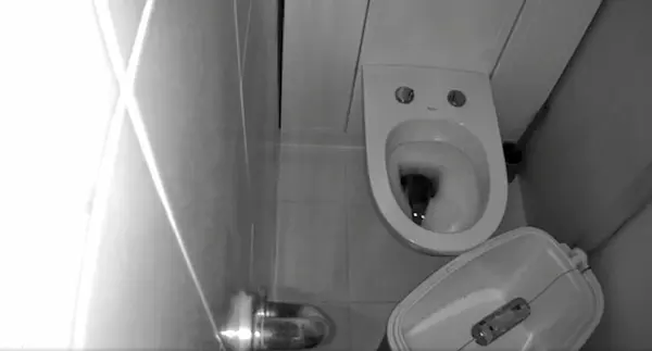 Rata invade el baño de un hombre