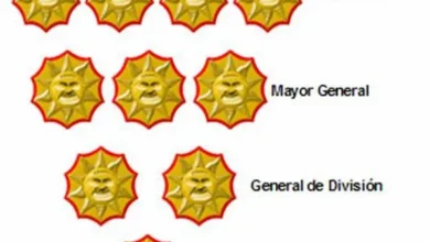 El Cartel de los Soles podría haber financiado campaña presidencial del correísmo