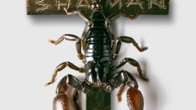 Shaman: película filmada en el Chimborazo y nominada a premio