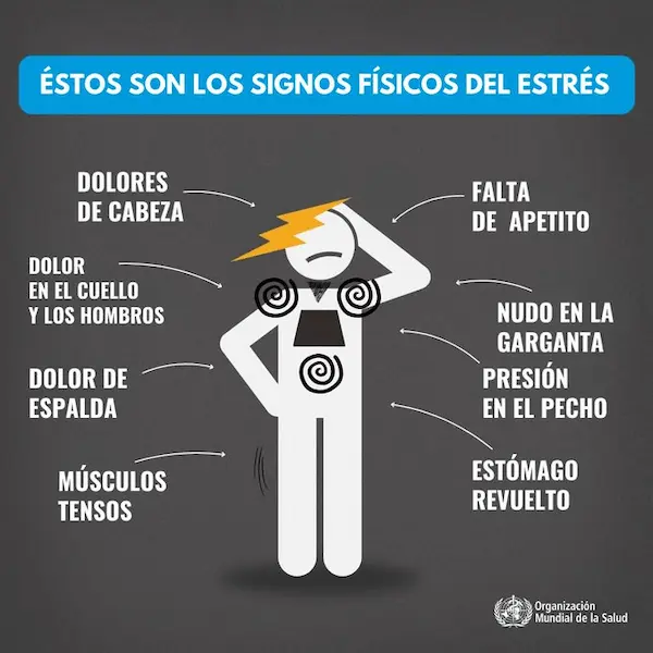 Lista de los signos físicos del estrés: ¿cómo afectan a la salud?