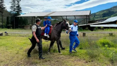 Cómo acceder a la terapia con caballos de la Policía Nacional.