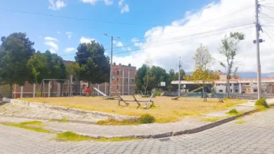 Alarmante inseguridad en parque de Riobamba