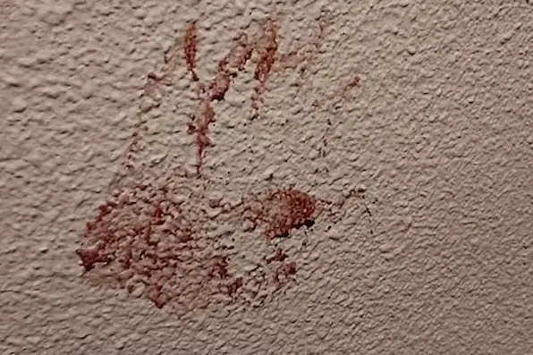 La comunidad y los colectivos feministas están indignados ante este nuevo hecho de sangre registrado.