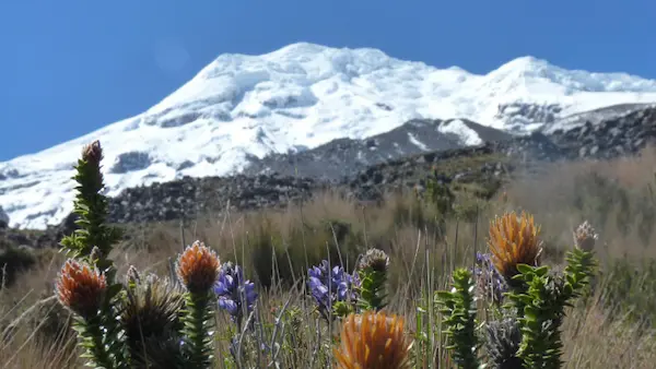 Reserva de Producción de Fauna Chimborazo