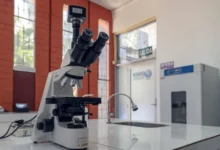 TOP 5 universidades del Ecuador líderes en producción científica